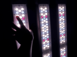 FOHSE LED Grow Lights: Smart