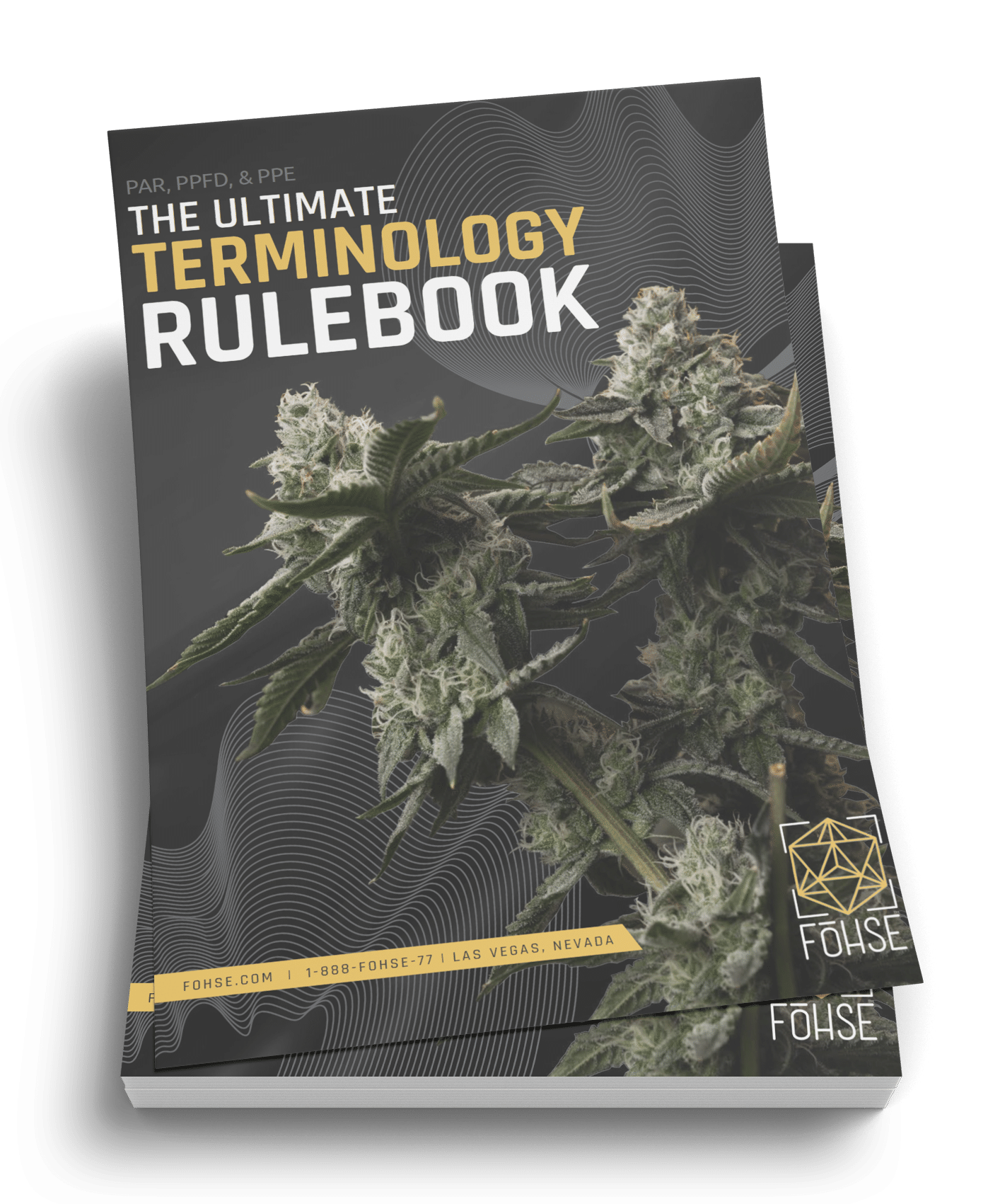Cannabis Terminology Book