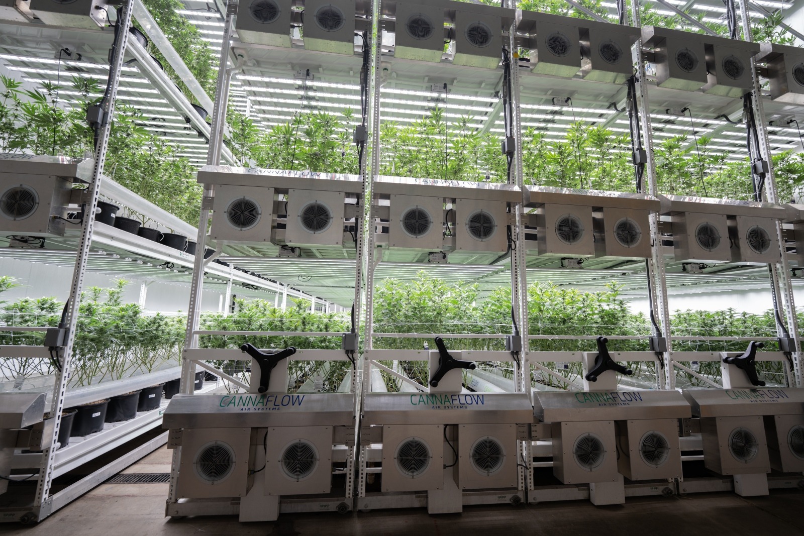 The Future of Vertical Farming