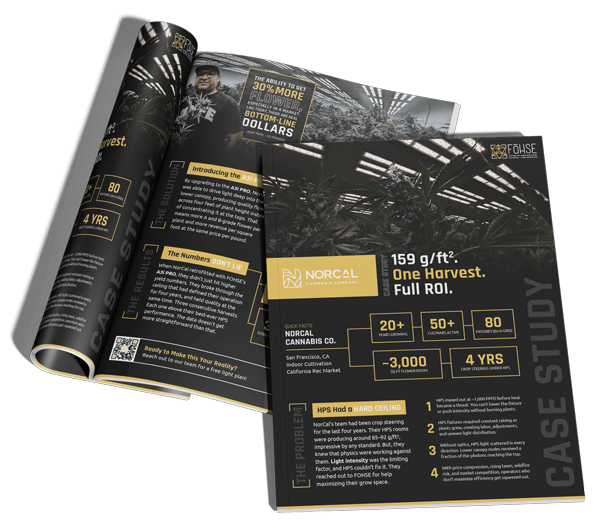 NorCal Case Study