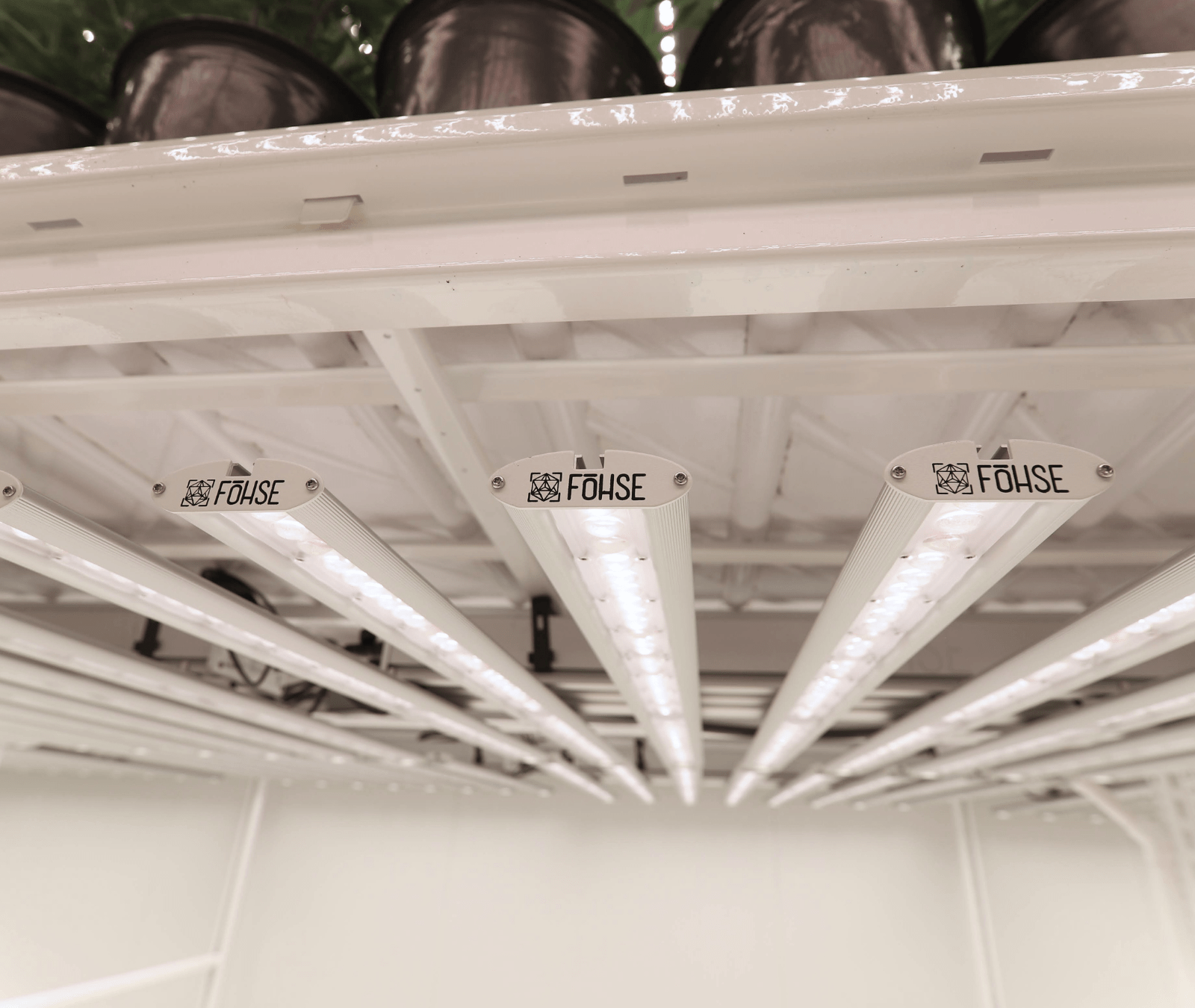 indoor agriculture grow room lighting